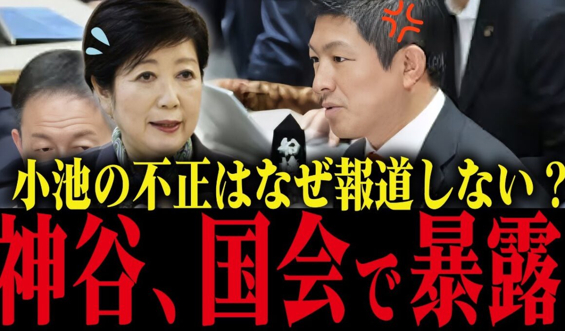 【小池百合子】神谷宗幣が小池の悪事を国会で暴露！【さとうさおり/小池都知事/都議会】