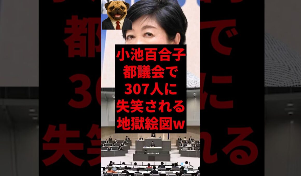 小池百合子、都議会で307人に失笑される地獄絵図w
