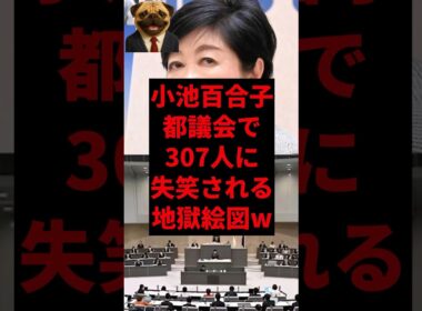 小池百合子、都議会で307人に失笑される地獄絵図w