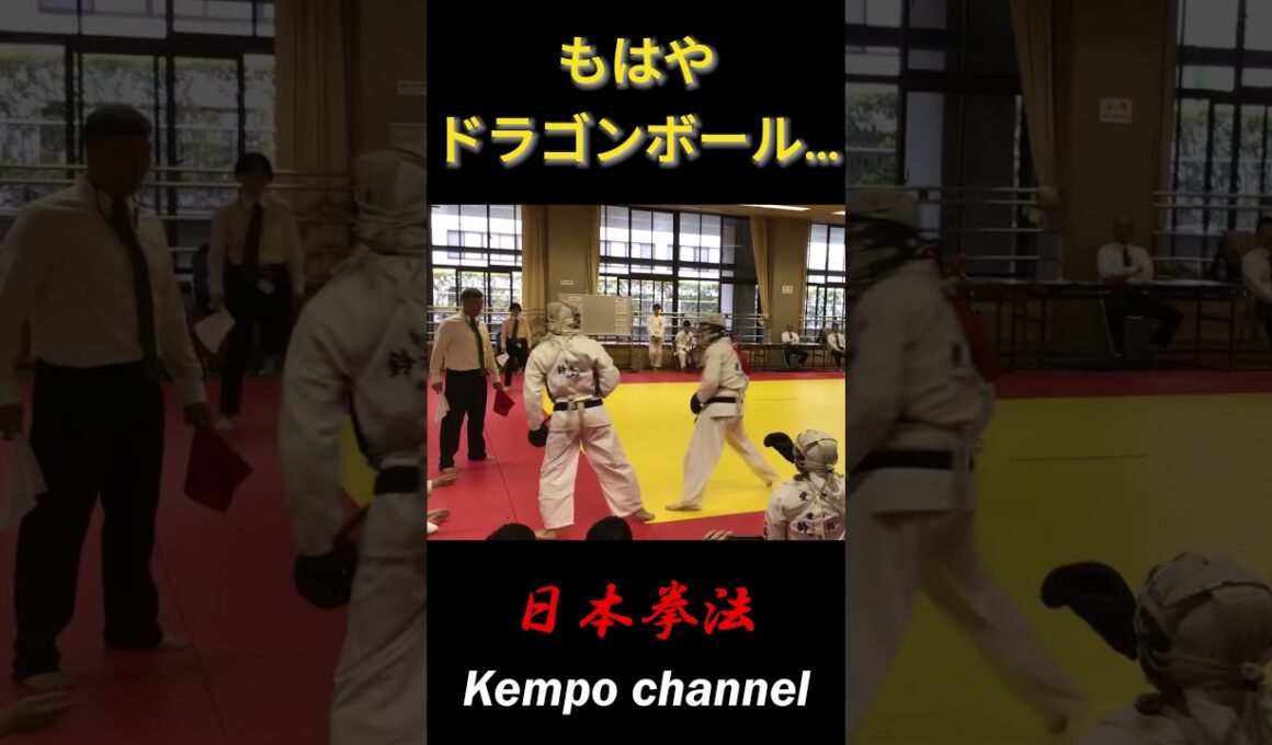 ドラゴンボール級の打ち合い、速過ぎ…【日本拳法】　#shorts