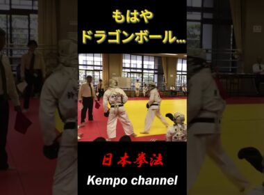 ドラゴンボール級の打ち合い、速過ぎ…【日本拳法】　#shorts