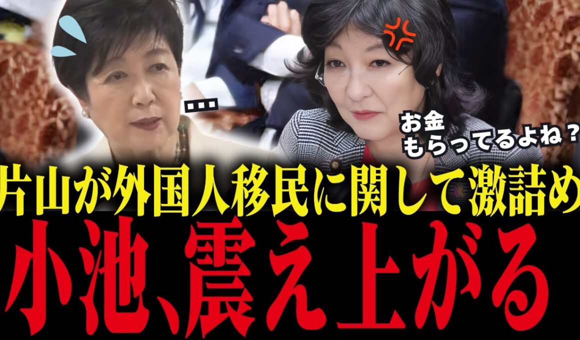 【小池百合子】利権政策を片山さつきに追求され、黙り込む...【小池都知事/さとうさおり/都議会】