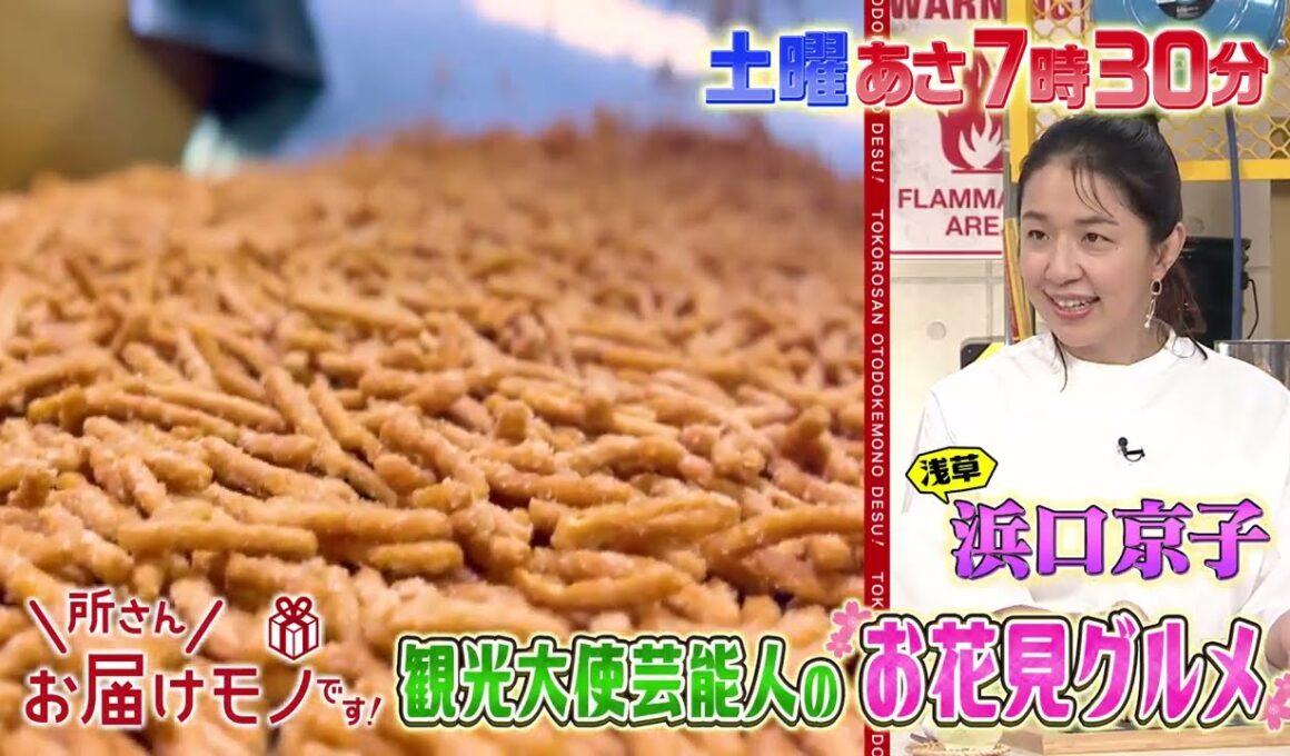 『所さんお届けモノです!』観光大使芸能人の“お花見グルメ” 3/15(土)【TBS】
