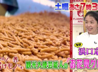 『所さんお届けモノです!』観光大使芸能人の“お花見グルメ” 3/15(土)【TBS】