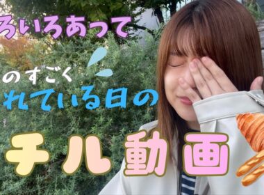【日常】いろいろあって疲れてる日のチル動画