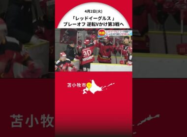 【アイスホッケー】レッドイーグルス 本拠地でプレーオフ連敗も…逆転Vかけ第3戦へ「切り替えて臨む」