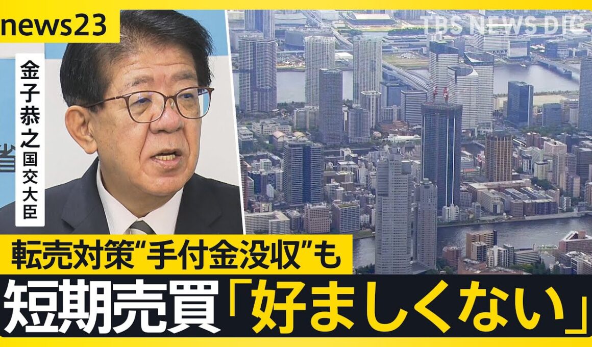 「もう買えない普通の人は」マンション高騰で“転売対策” 海外からの取得は3％ 国が初の実態調査【news23】｜TBS NEWS DIG