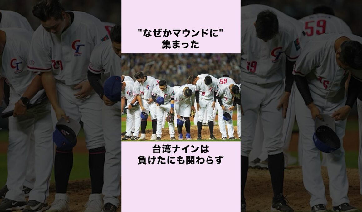 『台湾へ恩返しを』WBCの日本戦で起きた感動の出来事 #野球 #wbc #shorts #プロ野球