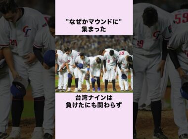 『台湾へ恩返しを』WBCの日本戦で起きた感動の出来事 #野球 #wbc #shorts #プロ野球