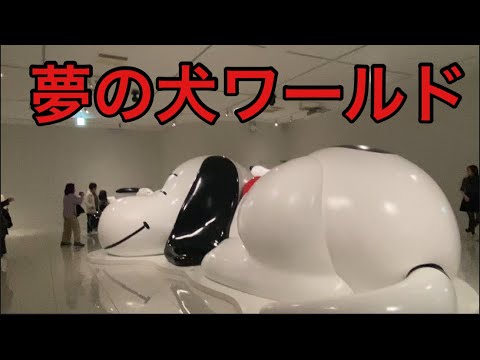 【柴犬飼い主55歳】スヌーピーの世界に癒される1日。