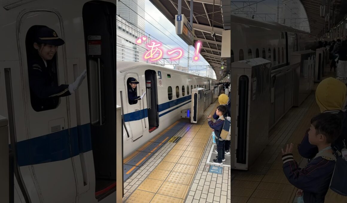 何度もお手振りありがとう❣️優しい女性新幹線車掌さん　今日も気をつけて