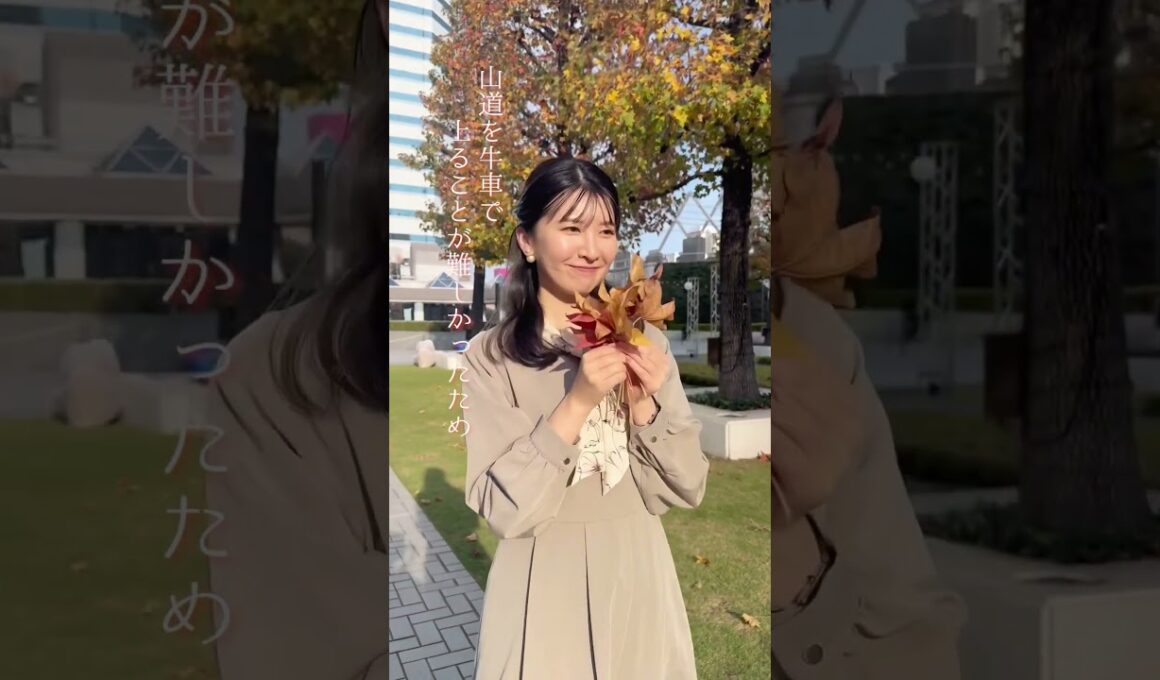 【ややウケ天気予報】なぜ紅葉「狩り」？ #通勤タイパ #駒木結衣 #豆知識
