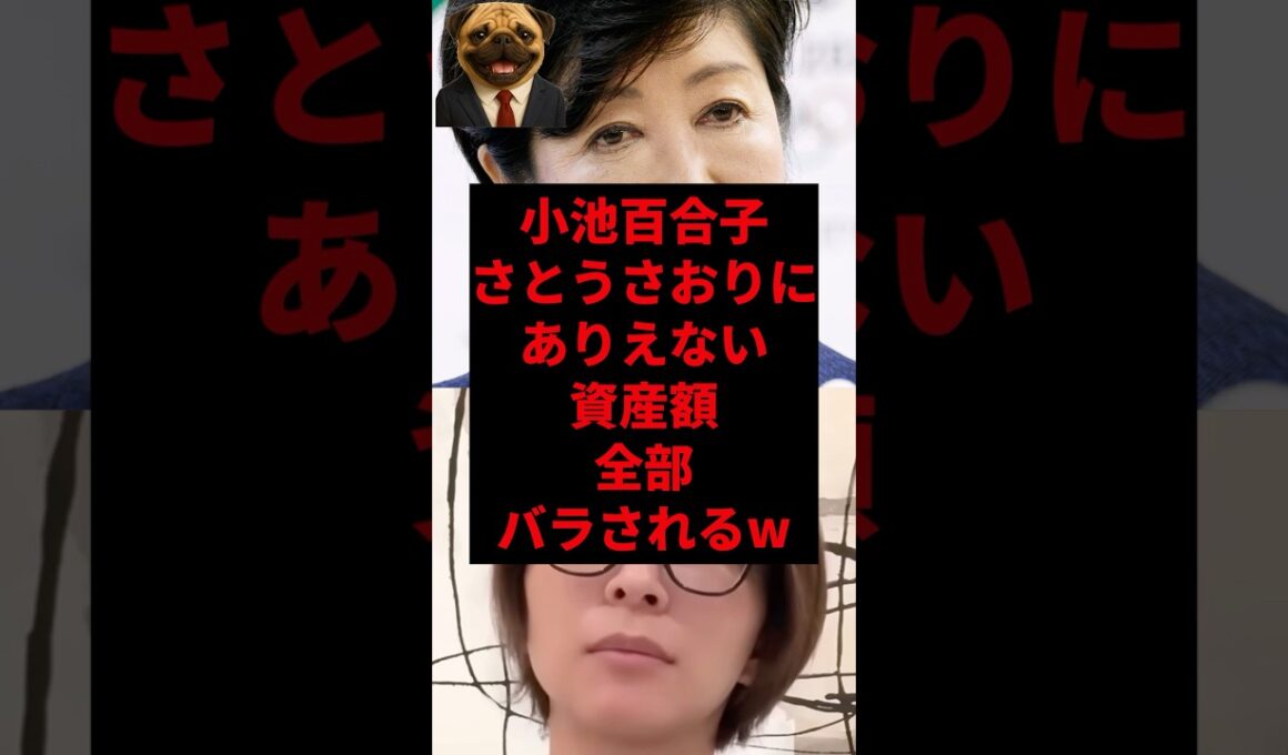 小池百合子さとうさおりにありえない資産額全部バラはれるw