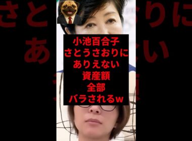 小池百合子さとうさおりにありえない資産額全部バラはれるw