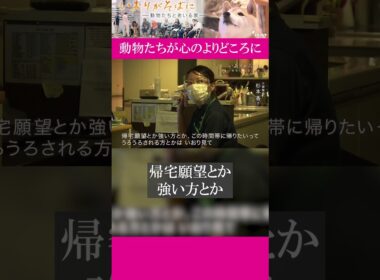 特別養護老人ホーム「加賀屋の森」では高齢者たちが、犬や猫と一緒に暮らしています。動物たちが心のよりどころに…｜#いおりがそばに#ドキュメンタリー #ザ・ドキュメント#shorts