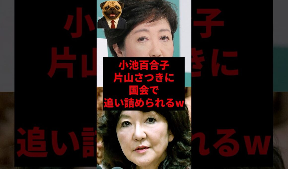 小池百合子、片山さつきに国会で追い詰められるw