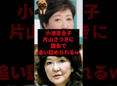 小池百合子、片山さつきに国会で追い詰められるw