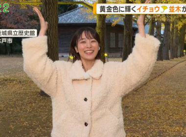 【画像】今日の今井春花さん　11.23