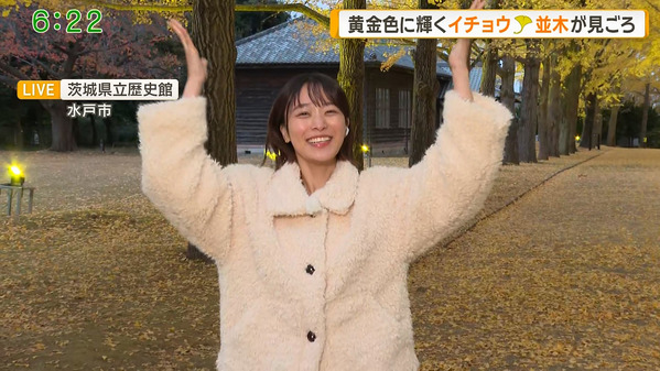 【画像】今日の今井春花さん　11.23