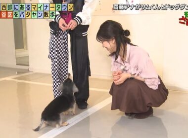 【画像】今日の齋藤陽さん　11.1※動画も