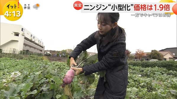 【画像】今日の石渡花菜さん　11.14