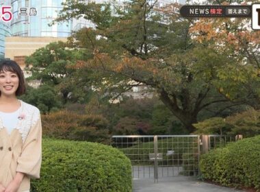 【画像】今日の今井春花さん　11.2
