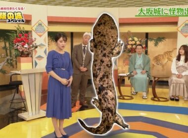 【画像】今日の赤木野々花さん　11.24