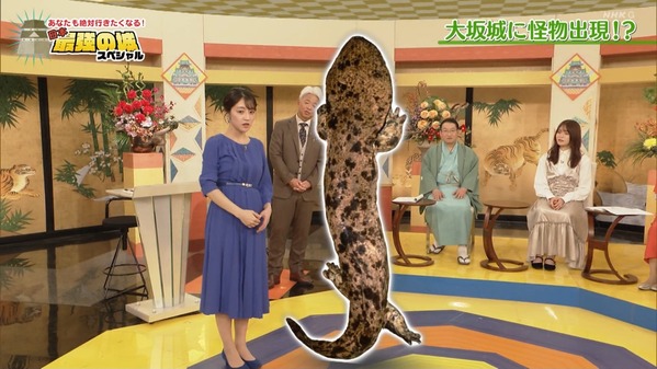 【画像】今日の赤木野々花さん　11.24