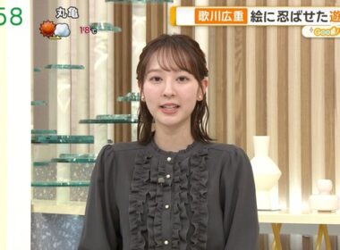 【画像】今日の佐々木若葉さん　12.1
