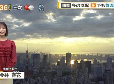 【画像】今日の今井春花さん　11.8