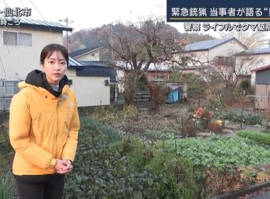 【画像】今日の下村彩里さん 　11.13