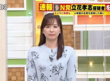 【画像】今日の皆藤愛子さん　11.10