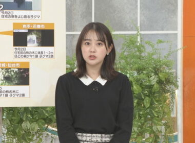 【画像】今日の若林有子さん　 11.5