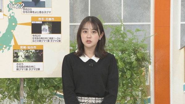 【画像】今日の若林有子さん　 11.5