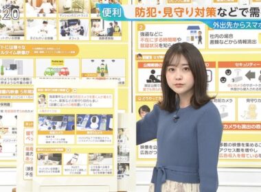 【画像】今日の若林有子さん　 11.12