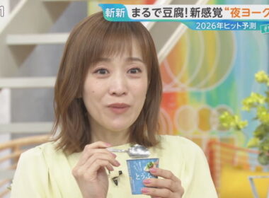 【画像】今日の江藤愛さん　11.4