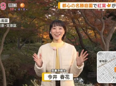 【画像】今日の今井春花さん　11.30