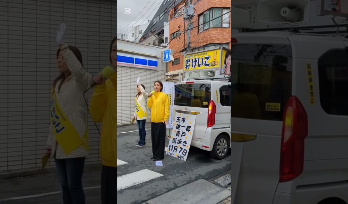 葛飾区議選中村けいこ2025年11月7日#shorts