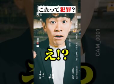 正義のヒーロー？悪の犯罪者？