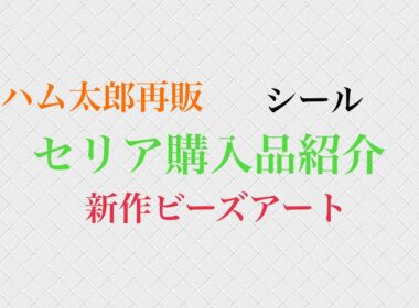 セリア購入品紹介