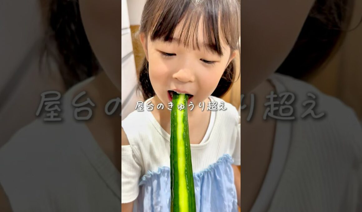 作業時間たったの5分🥒きゅうりの一本漬け