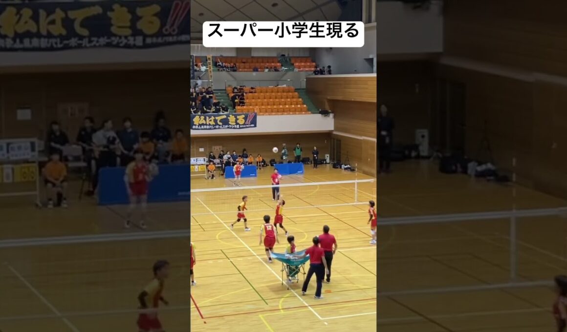 小学生とは思えない... #バレーボール #volleyball