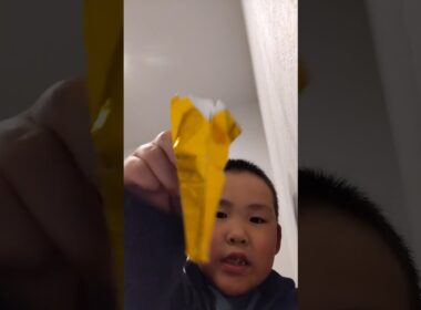 紙飛行機