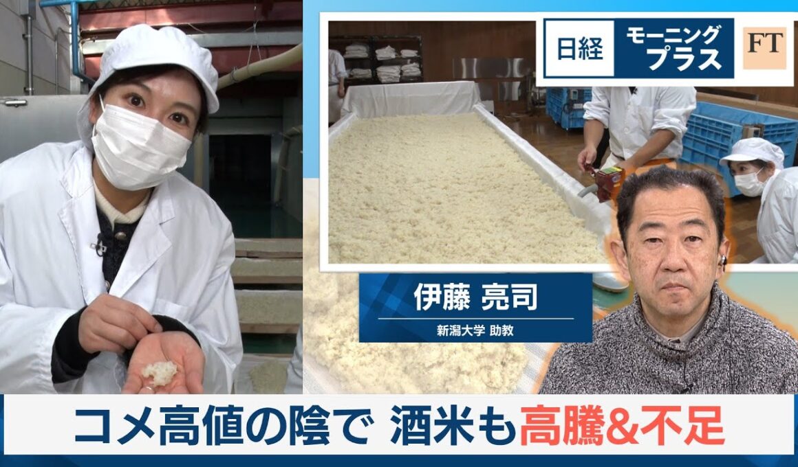 コメ高値の陰で　酒米も高騰＆不足【日経モープラFT】
