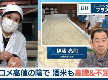コメ高値の陰で　酒米も高騰＆不足【日経モープラFT】