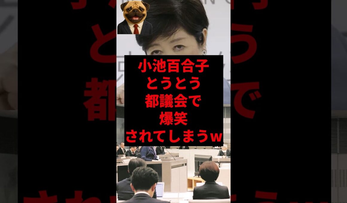 小池百合子とうとう都議会で爆笑されてしまうw