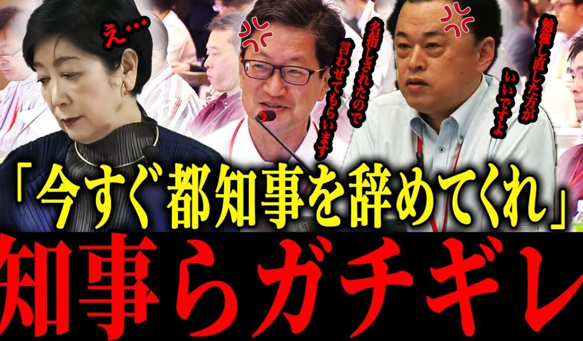 【小池百合子】※小池…全国知事会で言い訳するも知事らから総叩きに遭うw w w【佐藤沙織里 消費税 東京都議会本会議】