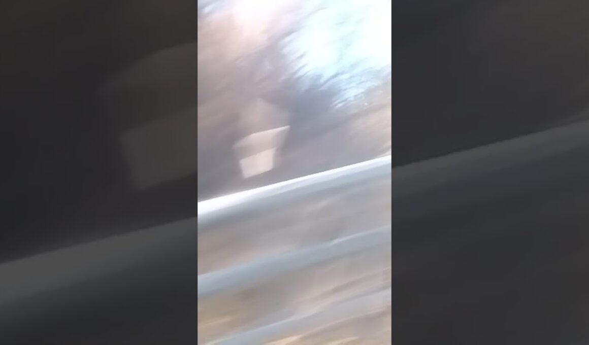 やま