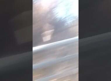 やま