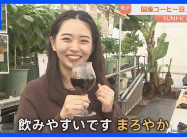 関東初のコーヒー農園「ヤチフォルニア農園公国」で豆の摘み取り・焙煎・ドリップを体験　千葉・八千代市｜TBS NEWS DIG